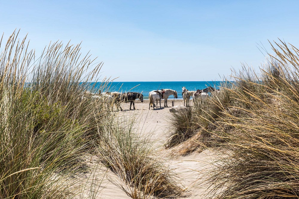 Hotel camargue famille luxe